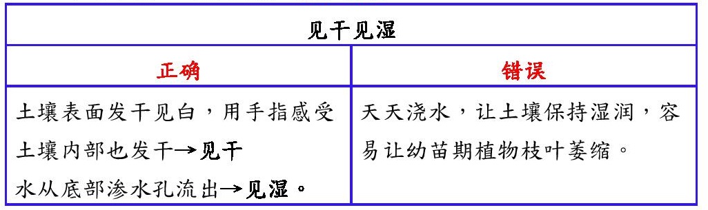 20220728-植物澆水最佳時(shí)間-page-001-表格-02.jpg